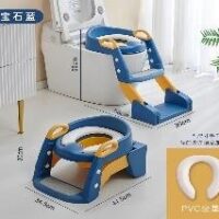 2 in 1 Potty Training Seat with Ladder & Handrails